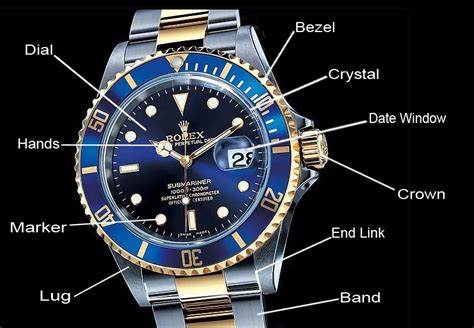 rolex watch description